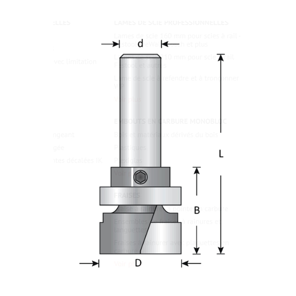 Mèche toupie 3/4'' de diamètre, pointe en carbure, embout modèle avec roulement à billes central, 2 cannelures, tige 1/2'', longueur 3 5/8''