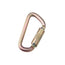 Mousqueton Saflok™ 3M DBI-SALA®