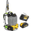 ENSEMBLE PULVÉRISATEUR DORSAL 20VMAX 4-GALLONS
