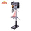 PERCEUSE À COLONNE 17'' 12.5AMP 110V COURSE ALLONGÉE