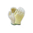 PAQUET 12 GANTS DE COTON ET POLYESTER