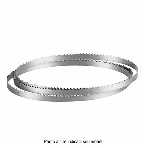 LAME DE SCIE À RUBAN POUR BOIS 97-1/2'' X 3/8'' X .025 6 DENTS