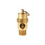 Soupape de sécurité asme 1/4 (m) npt 50 psi