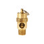 Soupape de sécurité asme 1/4 (m) npt 165 psi
