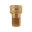 Coupler automax (3/8 industrial) 1/4 (f) npt (automatic)