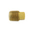 Bouchon fileté à tête carrée 1/4 (m) npt
