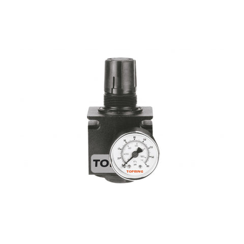Régulateur 1/4 (manomètre inclus) medium (0-125 psi) modulair