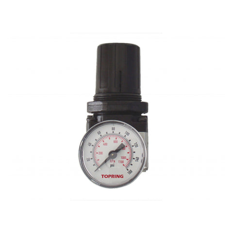 Régulateur 1/4 airflo 200 (5-125 psi)
