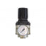Régulateur 1/2 airflo 400 (0-125 psi)