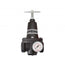 Régulateur 1 (2-125 psi) (manomètre inclus) hiflo