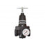 Régulateur 1 (2-125 psi) (manomètre inclus) hiflo