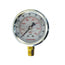 Manomètre acier inox / mécanisme laiton- glycérine 2-1/2'' – 1/4 npt lm 0-100 i/l